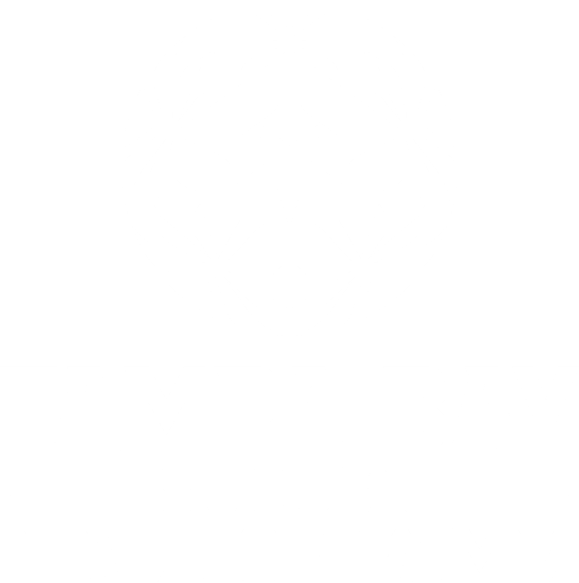 corporate-partners-tampa-bay-soccer-hall-of-fame